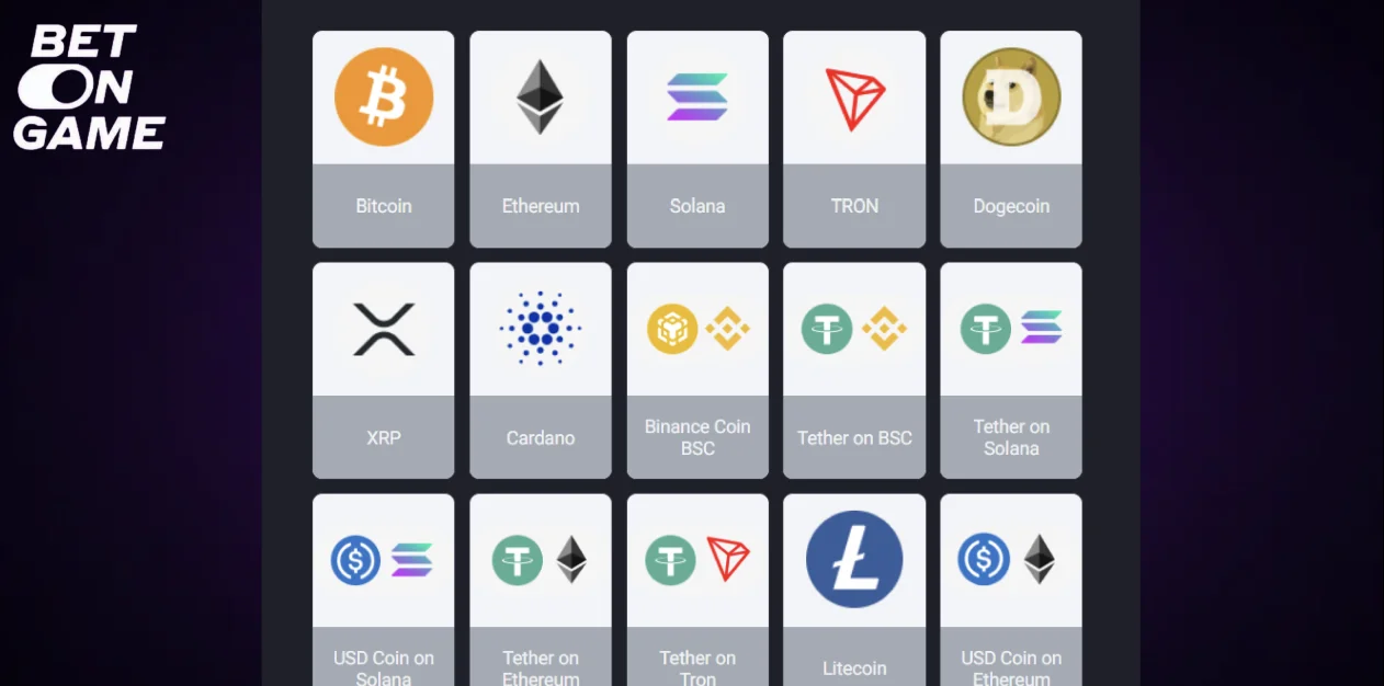 BetOnGame BDT payment information
